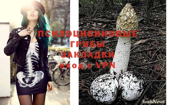 синтетический гашиш Алексеевка