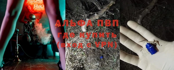 крисы Алзамай